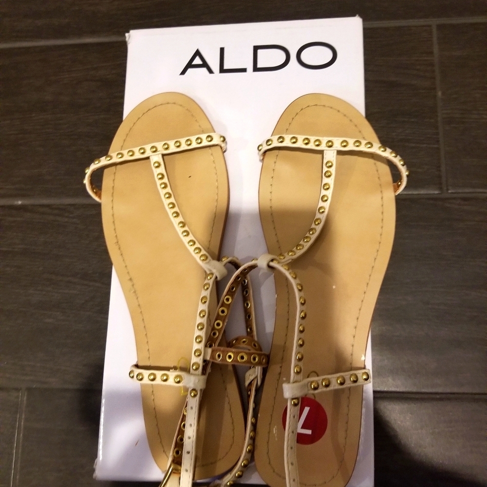 NWT Aldo Cheshunta Flat Sandals
